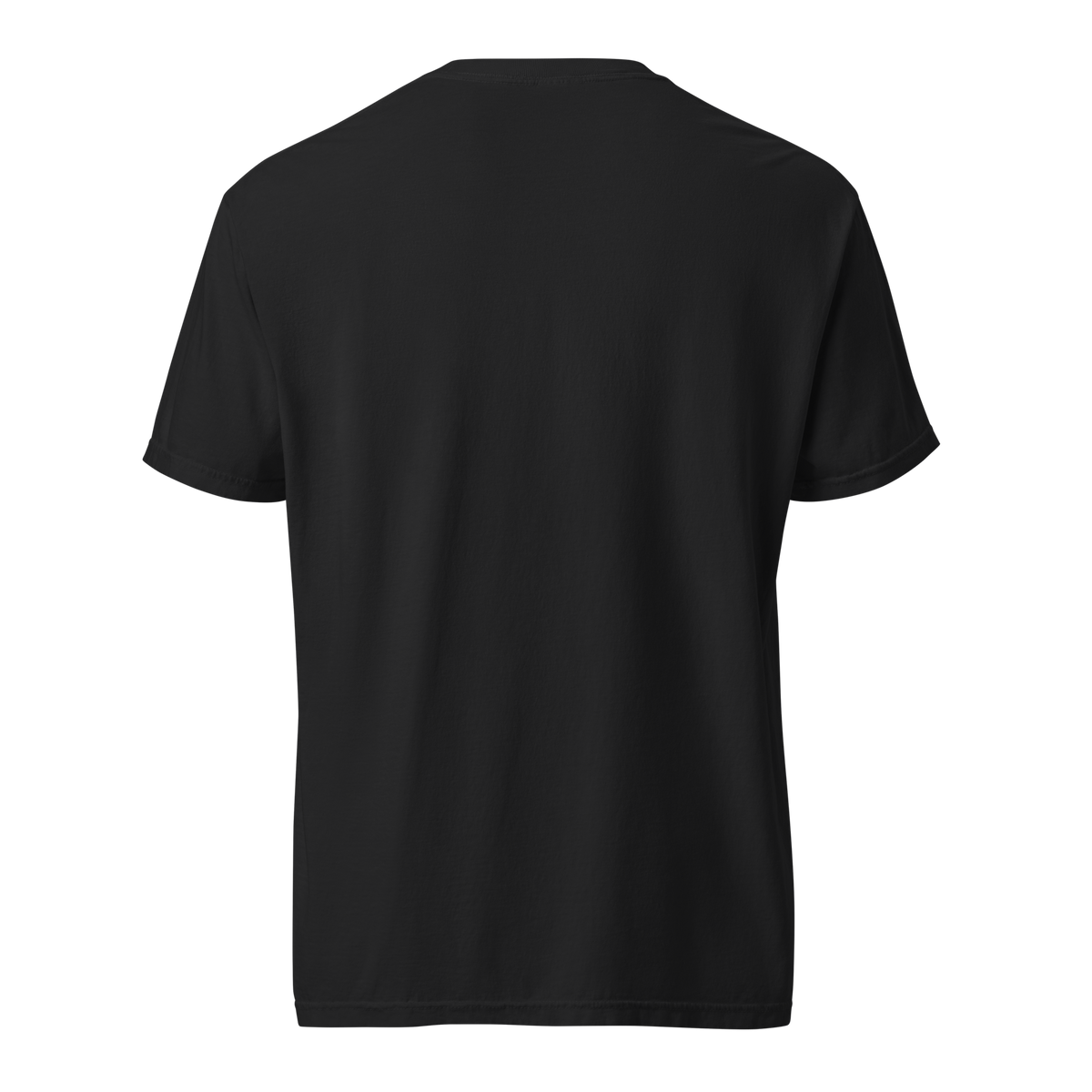 Back view of a plain black unisex crew neck t-shirt with no visible print, shown on a transparent background.