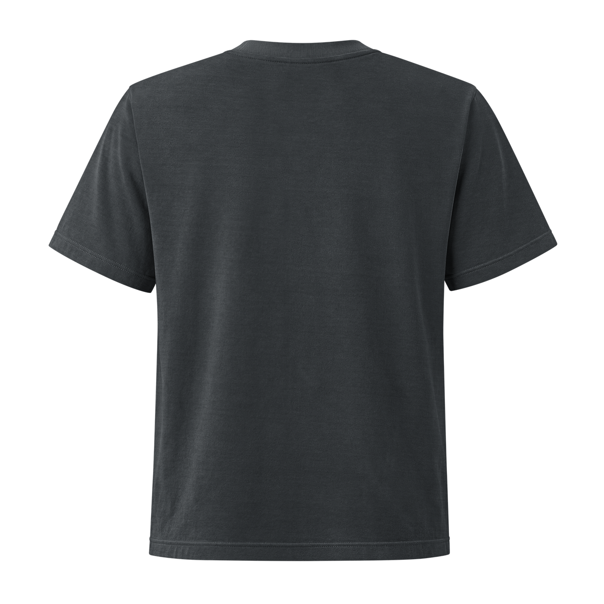 Back view of a woman's cut, plain charcoal gray short-sleeve t-shirt with no design, shown on a white background. Apparel.