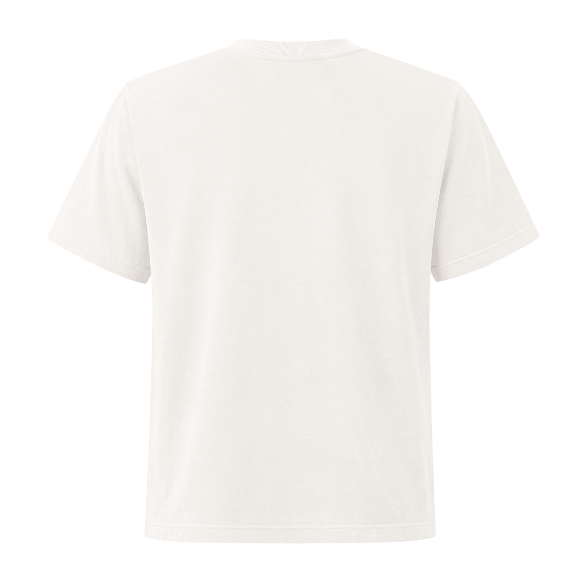 Back view of a plain white crew-neck short-sleeve t-shirt with no print, shown on a transparent background, apparel.